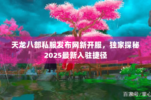 天龙八部私服发布网新开服，独家探秘2025最新入驻捷径