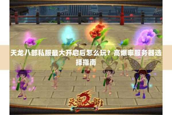 天龙八部私服最大开启后怎么玩？高爆率服务器选择指南