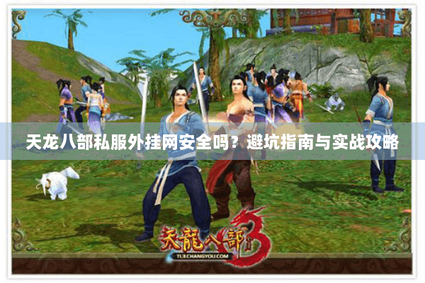 天龙八部私服外挂网安全吗？避坑指南与实战攻略