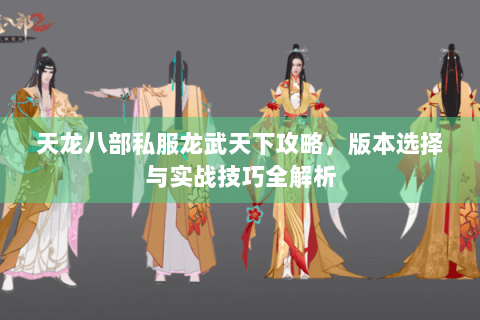天龙八部私服龙武天下攻略,版本选择与实战技巧全解析 天龙八部私服龙武天下攻略,版本选择与实战技巧全解析