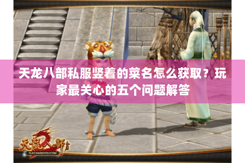 天龙八部私服竖着的菜名怎么获取？玩家最关心的五个问题解答