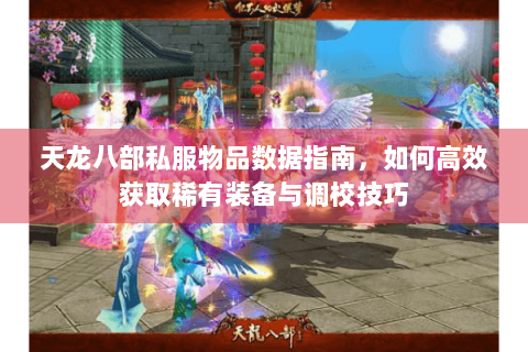 天龙八部私服物品数据指南，如何高效获取稀有装备与调校技巧
