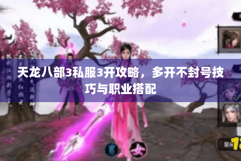 天龙八部3私服3开攻略,多开不封号技巧与职业搭配 天龙八部3私服3开攻略,多开不封号技巧与职业搭配