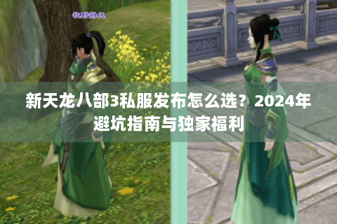 新天龙八部3私服发布怎么选？2024年避坑指南与独家福利
