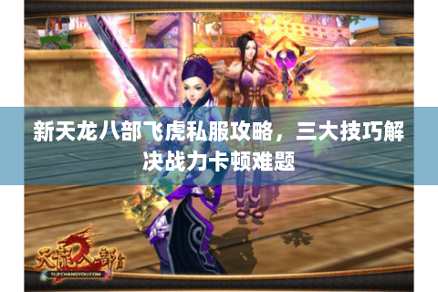 新天龙八部飞虎私服攻略,三大技巧解决战力卡顿难题 新天龙八部飞虎私服攻略,三大技巧解决战力卡顿难题