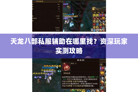天龙八部私服辅助在哪里找?资深玩家实测攻略 天龙八部私服辅助在哪里找?资深玩家实测攻略