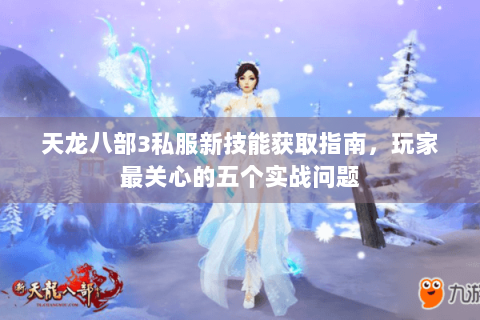 天龙八部3私服新技能获取指南,玩家最关心的五个实战问题 天龙八部3私服新技能获取指南,玩家最关心的五个实战问题