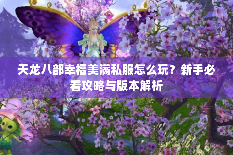 天龙八部幸福美满私服怎么玩?新手必看攻略与版本解析 天龙八部幸福美满私服怎么玩?新手必看攻略与版本解析