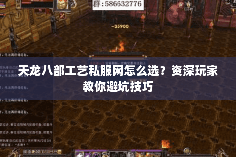 天龙八部工艺私服网怎么选？资深玩家教你避坑技巧