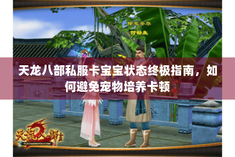 天龙八部私服卡宝宝状态终极指南，如何避免宠物培养卡顿