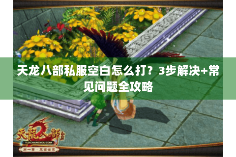天龙八部私服空白怎么打?3步解决+常见问题全攻略 天龙八部私服空白怎么打?3步解决+常见问题全攻略