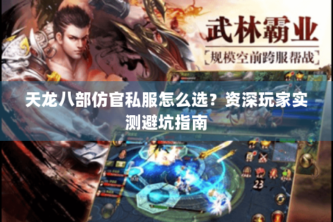 天龙八部仿官私服怎么选？资深玩家实测避坑指南