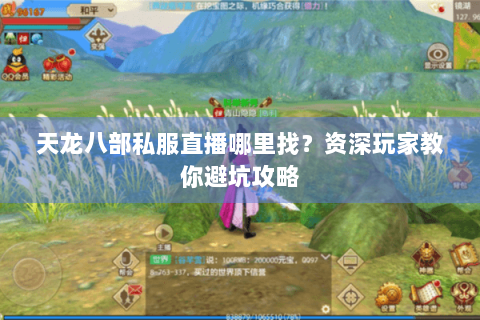 天龙八部私服直播哪里找？资深玩家教你避坑攻略