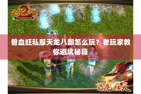 兽血旺私服天龙八部怎么玩？老玩家教你避坑秘籍