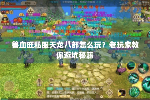 兽血旺私服天龙八部怎么玩？老玩家教你避坑秘籍