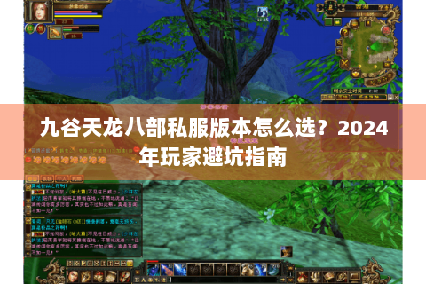 九谷天龙八部私服版本怎么选?2024年玩家避坑指南 九谷天龙八部私服版本怎么选?2024年玩家避坑指南