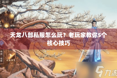 天龙八部私服怎么玩?老玩家教你5个核心技巧 天龙八部私服怎么玩?老玩家教你5个核心技巧