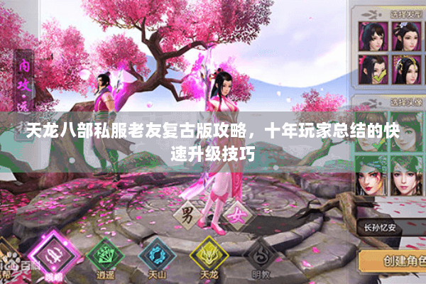 天龙八部私服老友复古版攻略，十年玩家总结的快速升级技巧