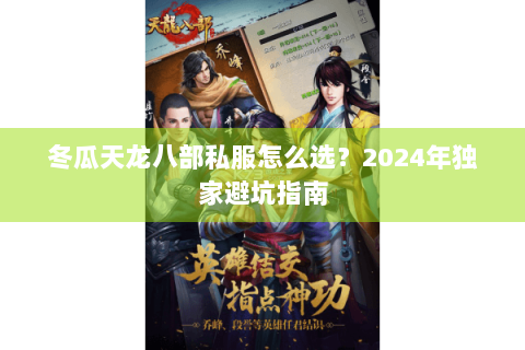 冬瓜天龙八部私服怎么选?2024年独家避坑指南 冬瓜天龙八部私服怎么选?2024年独家避坑指南