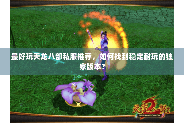 最好玩天龙八部私服推荐,如何找到稳定耐玩的独家版本? 最好玩天龙八部私服推荐,如何找到稳定耐玩的独家版本?