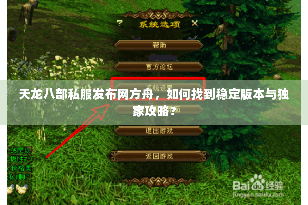 天龙八部私服发布网方舟，如何找到稳定版本与独家攻略？