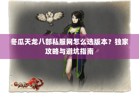 冬瓜天龙八部私服网怎么选版本？独家攻略与避坑指南