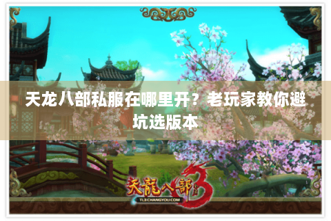 天龙八部私服在哪里开？老玩家教你避坑选版本