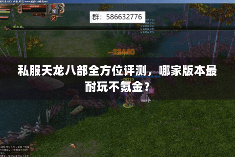 私服天龙八部全方位评测,哪家版本最耐玩不氪金? 私服天龙八部全方位评测,哪家版本最耐玩不氪金?