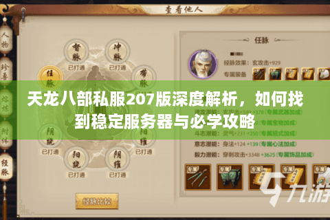 天龙八部私服207版深度解析,如何找到稳定服务器与必学攻略 天龙八部私服207版深度解析,如何找到稳定服务器与必学攻略