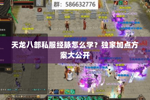 天龙八部私服经脉怎么学？独家加点方案大公开
