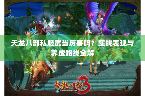 天龙八部私服武当厉害吗？实战表现与养成路线全解