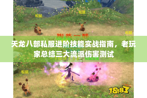 天龙八部私服进阶技能实战指南,老玩家总结三大流派伤害测试 天龙八部私服进阶技能实战指南,老玩家总结三大流派伤害测试