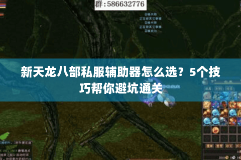 新天龙八部私服辅助器怎么选?5个技巧帮你避坑通关 新天龙八部私服辅助器怎么选?5个技巧帮你避坑通关