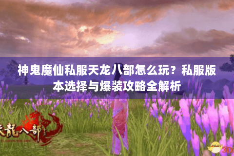 神鬼魔仙私服天龙八部怎么玩？私服版本选择与爆装攻略全解析