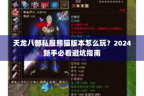 天龙八部私服熊猫版本怎么玩？2024新手必看避坑指南