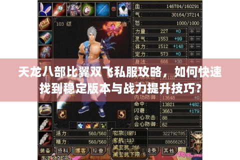 天龙八部比翼双飞私服攻略，如何快速找到稳定版本与战力提升技巧？
