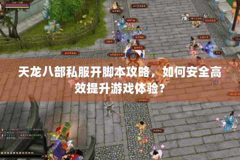 天龙八部私服开脚本攻略，如何安全高效提升游戏体验？