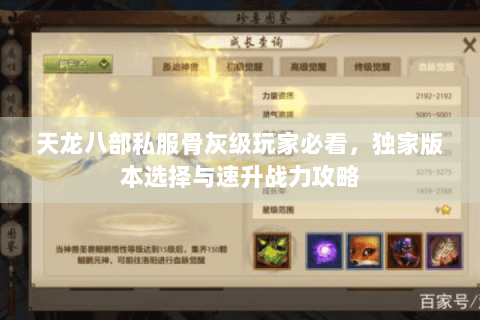 天龙八部私服骨灰级玩家必看，独家版本选择与速升战力攻略