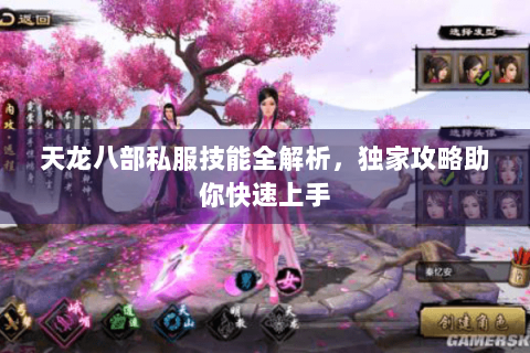 天龙八部私服技能全解析，独家攻略助你快速上手