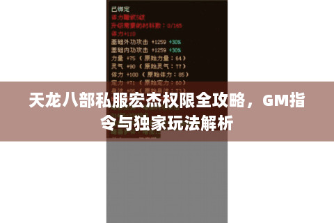 天龙八部私服宏杰权限全攻略，GM指令与独家玩法解析
