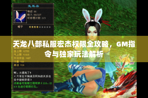 天龙八部私服宏杰权限全攻略，GM指令与独家玩法解析