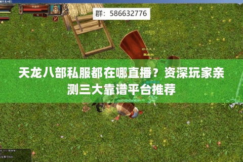 天龙八部私服都在哪直播？资深玩家亲测三大靠谱平台推荐