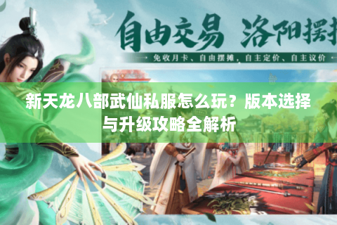 新天龙八部武仙私服怎么玩？版本选择与升级攻略全解析