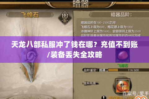 天龙八部私服冲了钱在哪?充值不到账/装备丢失全攻略 天龙八部私服冲了钱在哪?充值不到账/装备丢失全攻略