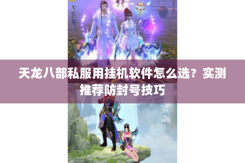 天龙八部私服用挂机软件怎么选？实测推荐防封号技巧