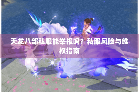 天龙八部私服能举报吗？私服风险与维权指南