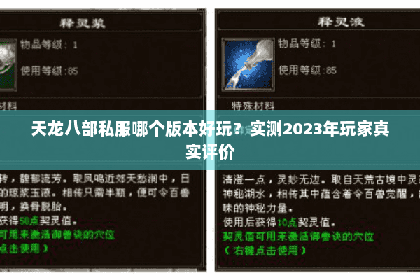 天龙八部私服哪个版本好玩？实测2023年玩家真实评价