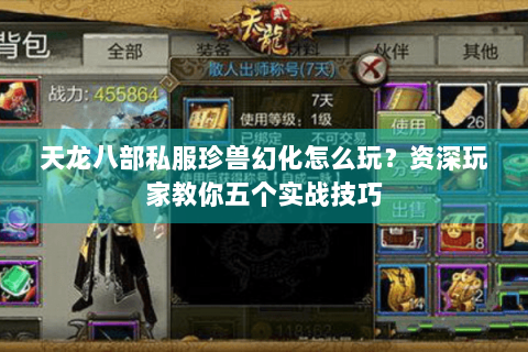 天龙八部私服珍兽幻化怎么玩？资深玩家教你五个实战技巧