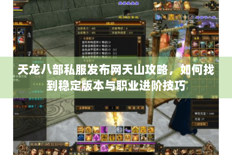 天龙八部私服发布网天山攻略，如何找到稳定版本与职业进阶技巧