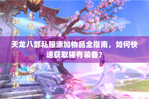 天龙八部私服添加物品全指南，如何快速获取稀有装备？